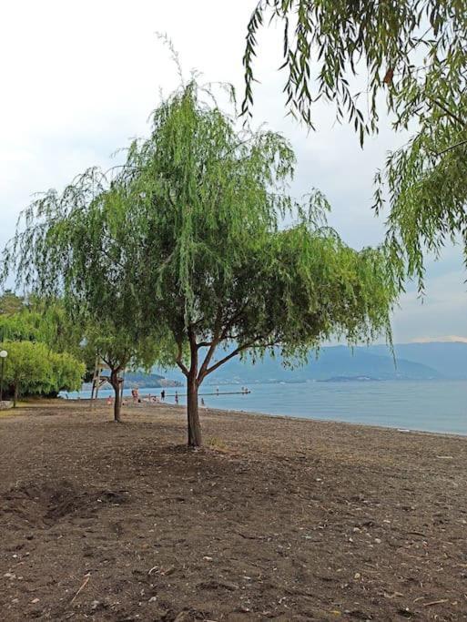 Luka Apartment In The Center Of Ohrid Exterior foto